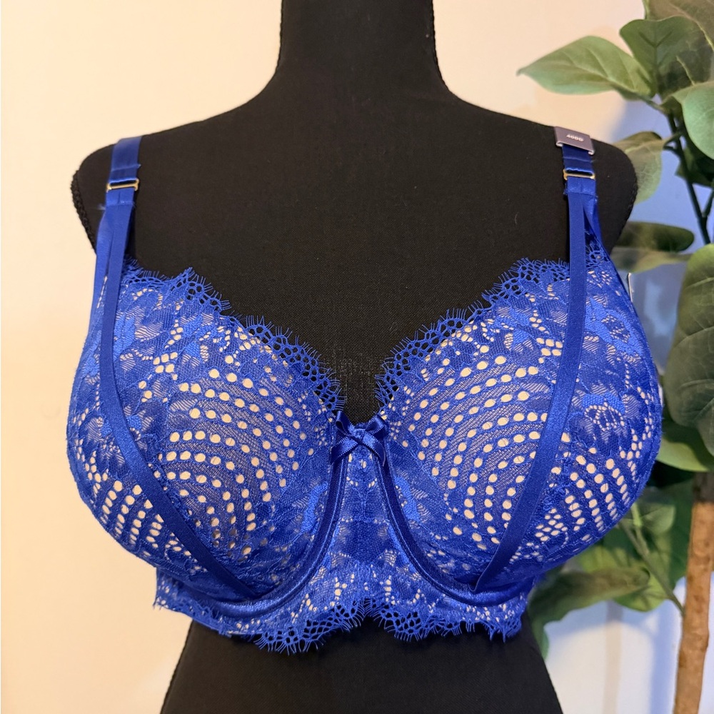 Cacique Royal Blue Lace Balconette Bra